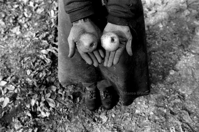 Asylum seekers, Switzerland, 2000