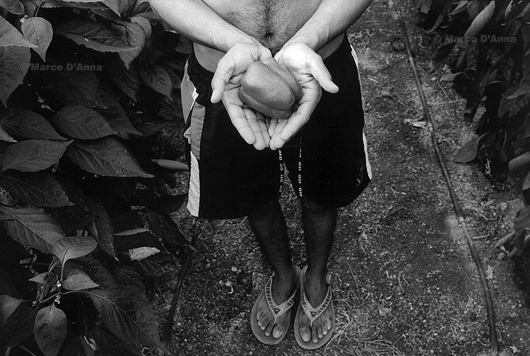 Black worker, Spain, 2007