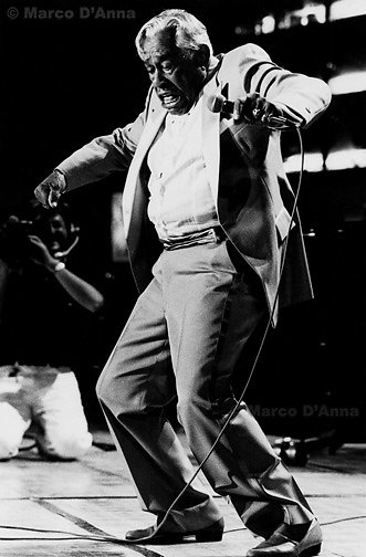 Cab Calloway, 1988