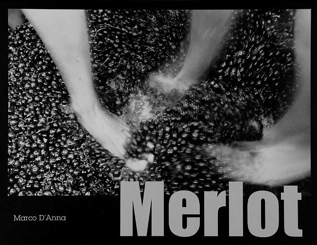 Merlot, la terra, gli uomini, il vino. co-edizione, Poncini, Matasci, 2006