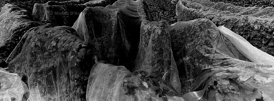 Valle di Blenio, mese di settembre, 2005