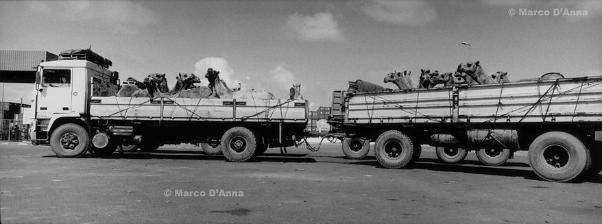 Djibouti, 2006