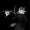 Renaud Capucon, calendario